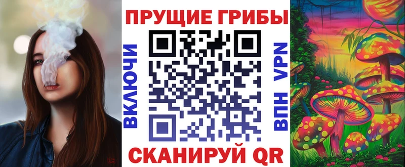 Псилоцибиновые грибы мицелий  продажа наркотиков  Волчанск 